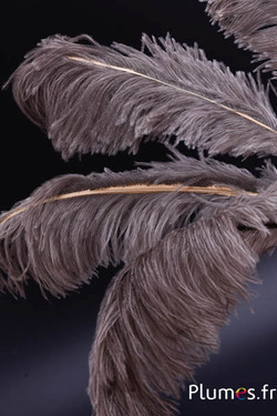 Strauss mit feinem goldenen Strahl - 30-40 cm - grau natur